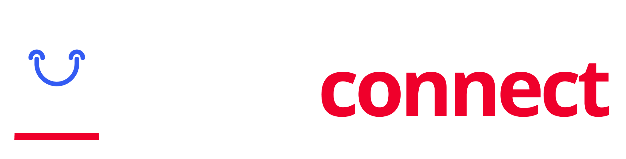 Cyber Connect Logo